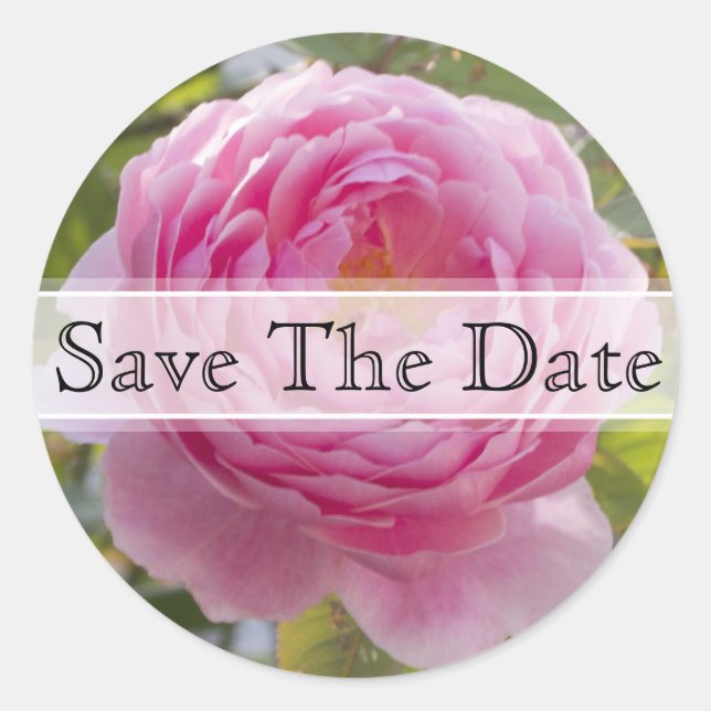 Pink Rose Floral Wedding Sticker (Front)