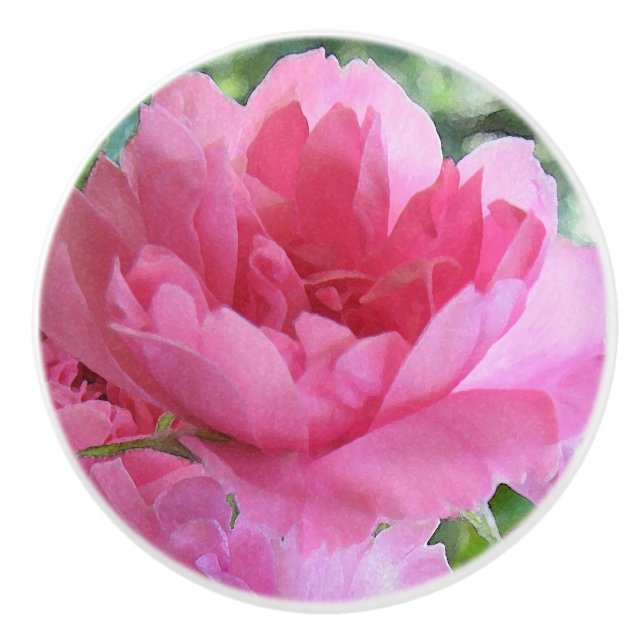 Pink Rose Flower Abstract Ceramic Knob (Front)