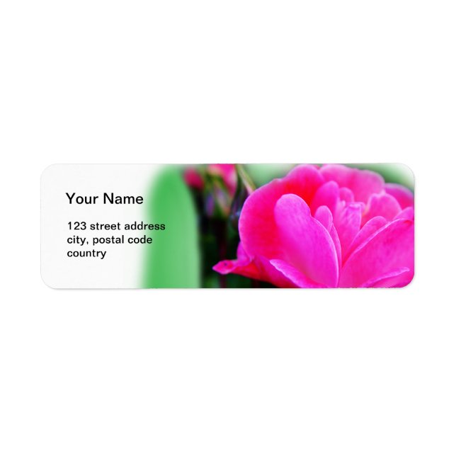 pink rose flower address label (Front)
