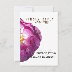 Pink Rose Flower Blossom Photo Response Cards