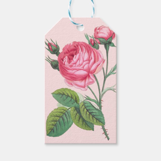 Pink rose flower gift tag (Front)