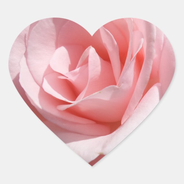 Pink Rose Flower Heart Sticker (Front)
