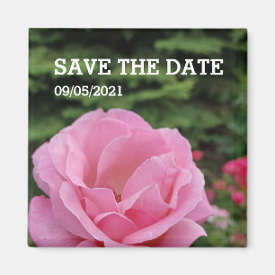 Pink rose flower magnet