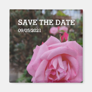 Pink rose flower magnet