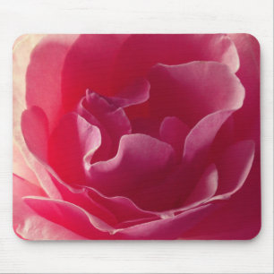Pink Rose flower,  Mousepad