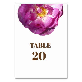 Pink Rose flower Photo Card Tablecard, Basic
