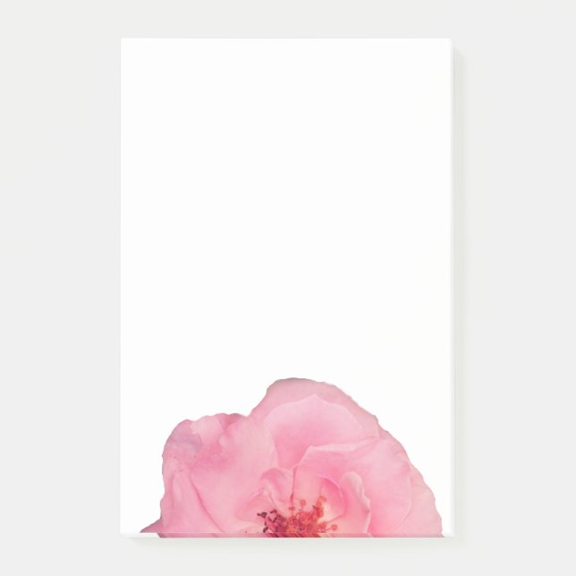 Pink Rose Flower Photo Notes (Front)