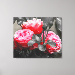 Pink Rose Flower: Pink Colour Pop Canvas Print