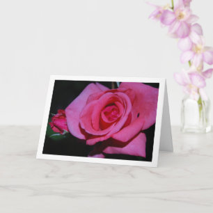 Pink Rose Flower Portrait Card