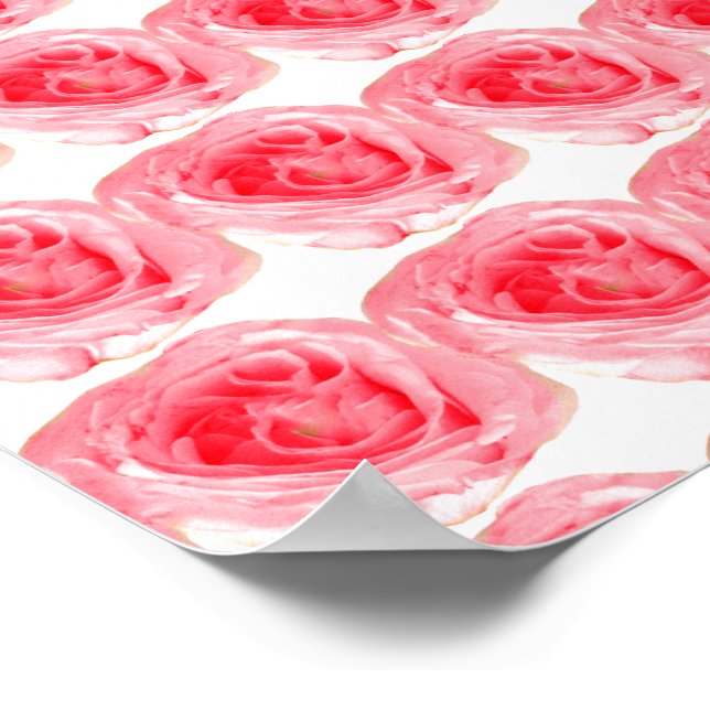 Pink Rose Flower Poster (Corner)