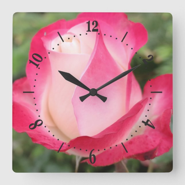 Pink rose flower square wall clock (Front)