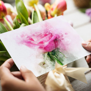 Pink Rose flower watercolor - wb Postcard