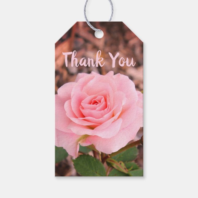 Pink Rose Flowered  Gift Tags (Front)