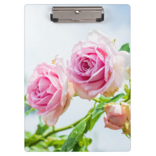 Pink rose flowers clipboard