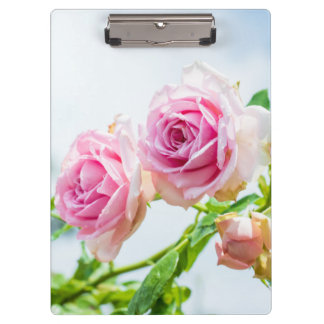 Pink rose flowers clipboard