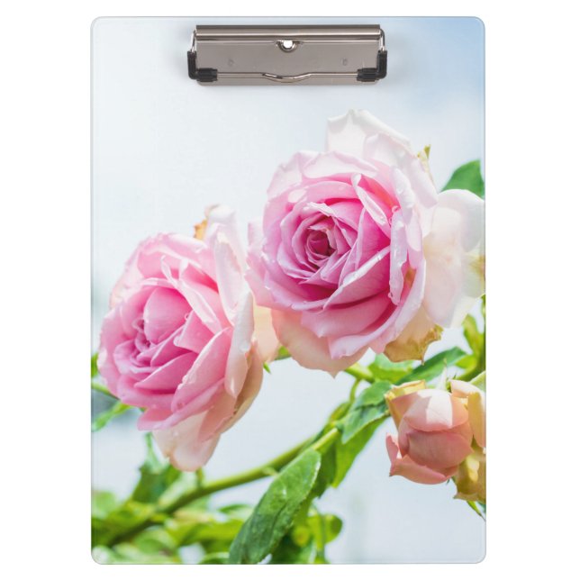 Pink rose flowers clipboard (Front)