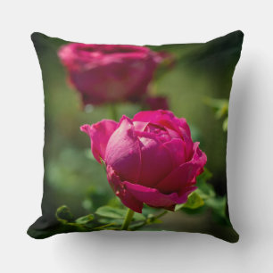 Pink rose flowers cushion