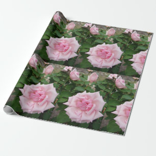 Pink Rose flowers floral garden Wrapping Paper