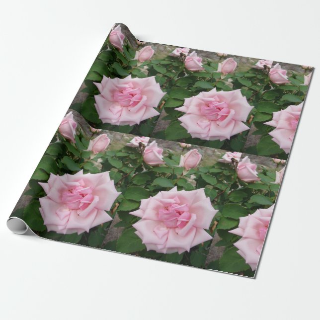 Pink Rose flowers floral garden Wrapping Wrapping Paper (Unrolled)