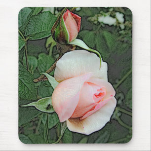 pink rose flowers mouse pad