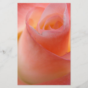 Pink Rose Flowers Stationery Floral Personalise