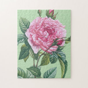 Pink Rose Flowers with Green Leaves Jigsaw Puzzle