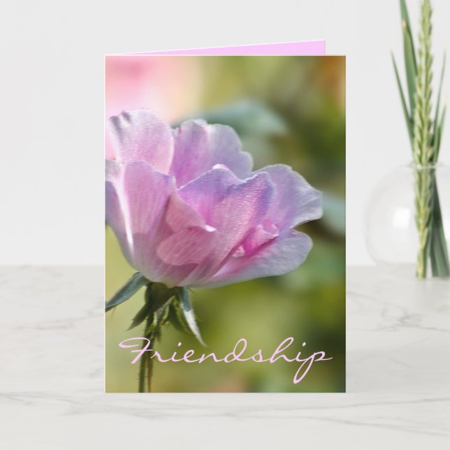 Pink Rose Friendship Card (Front)