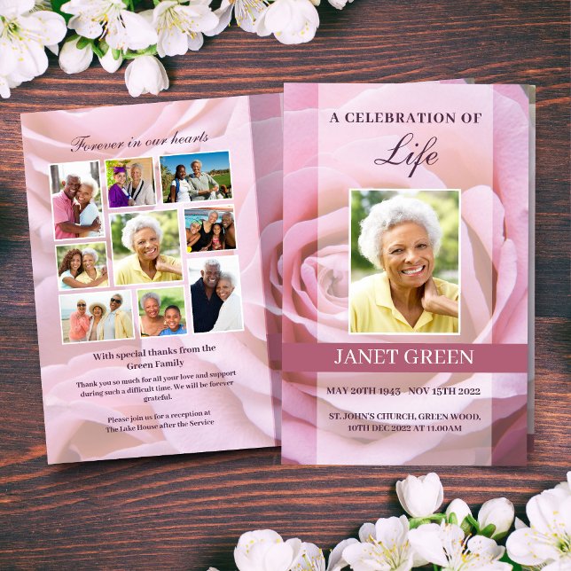 Pink Rose Funeral Program Template (Creator Uploaded)