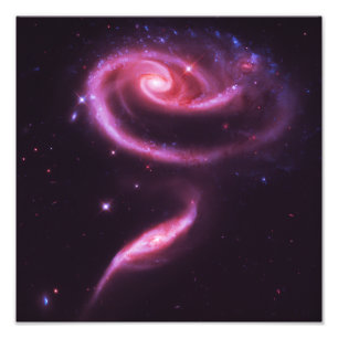 Pink Rose Galaxies Photo Print