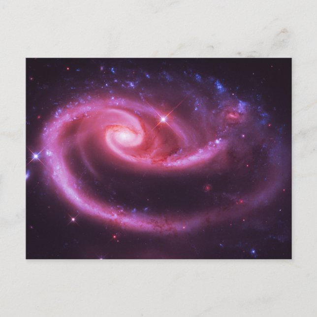 Pink Rose Galaxies Postcard (Front)