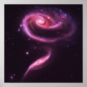 Pink Rose Galaxies Poster