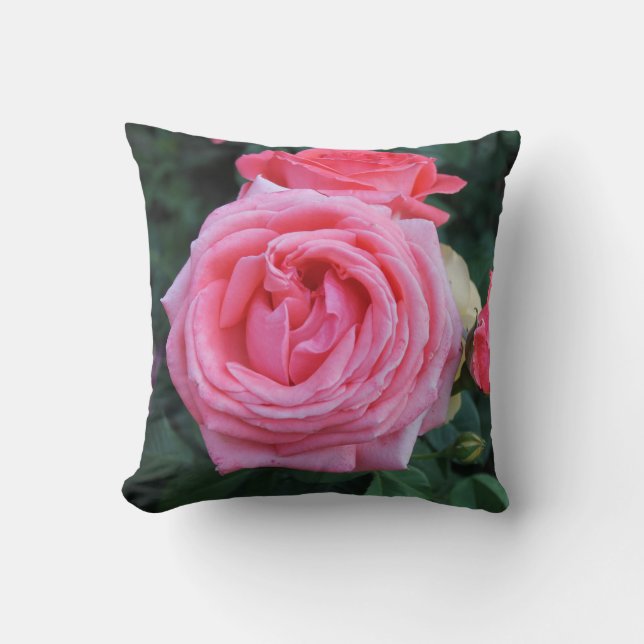 Pink Rose Garden  Cushion (Front)