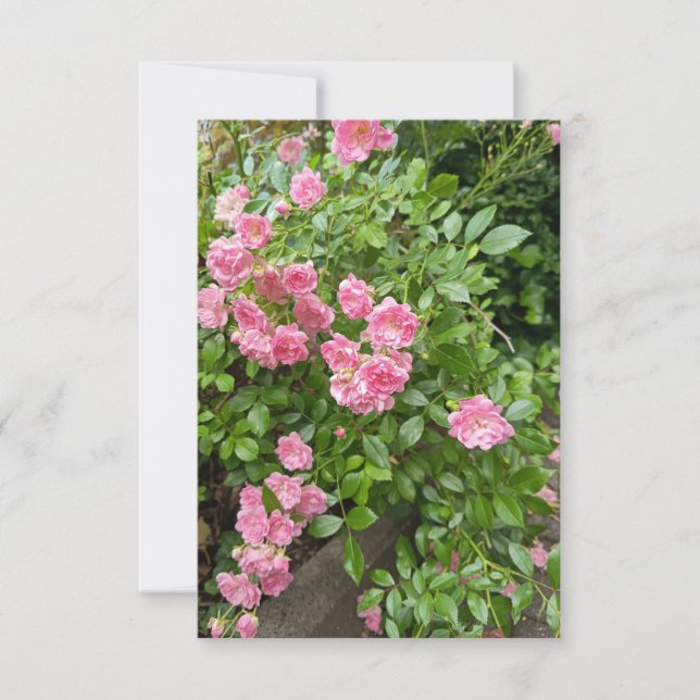 Pink Rose Garden Floral Card (Front)