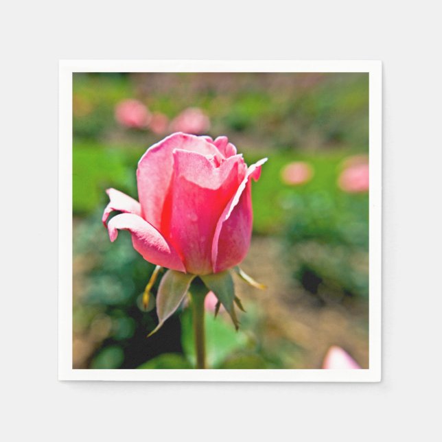 Pink Rose Garden Napkin (Front)