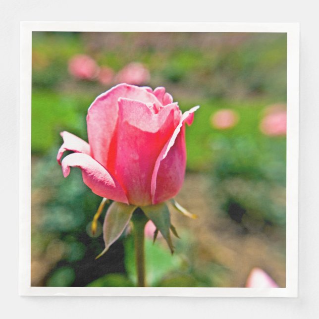 Pink Rose Garden Napkin (Front)