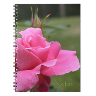 Pink Rose Garden Notebook
