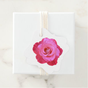 Pink Rose Gift Tag