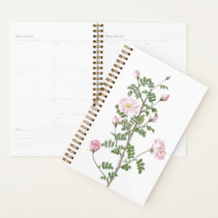Pink Rose Girly 2023 Planner