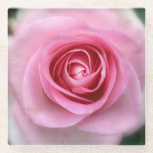Pink Rose Glass Coaster