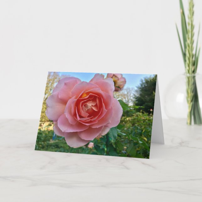 Pink Rose Greeting Card (Front)