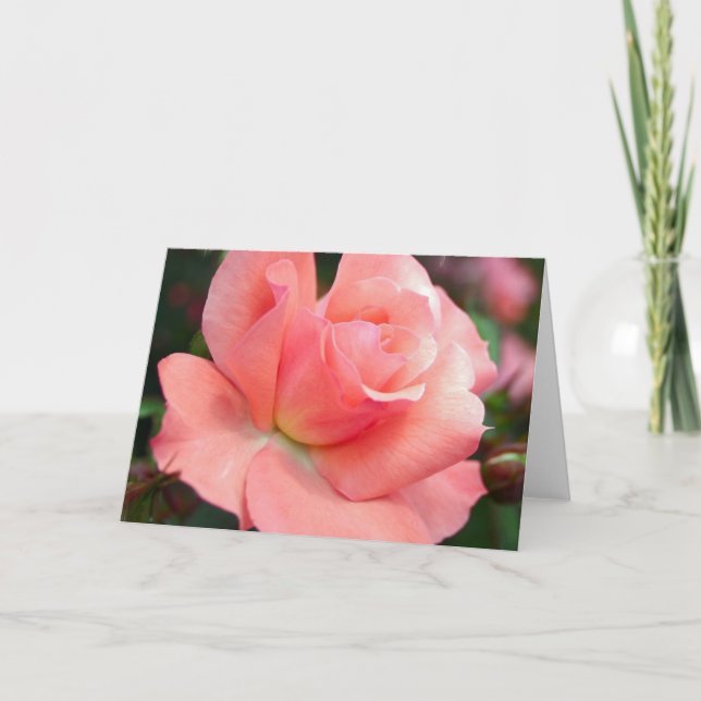 Pink Rose Greeting Card (Front)