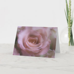 Pink Rose - Greeting Card