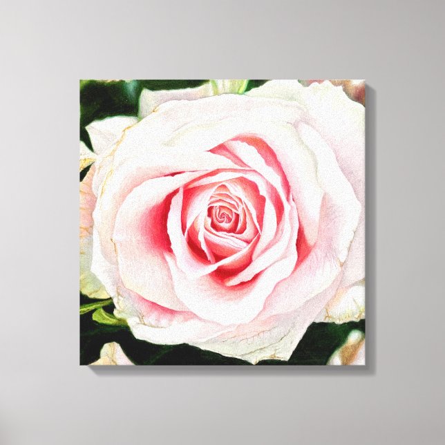 Pink Rose Hand-drawn Pencil Crayon Art Print (Front)