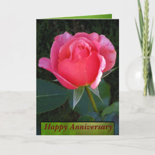 Pink Rose Happy Anniversary Card