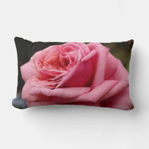 Pink Rose I Pretty Floral Photography Lumbar Cushion