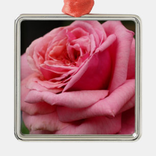 Pink Rose I Pretty Floral Photography Metal Tree Decoration