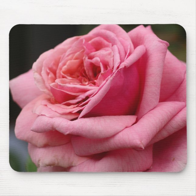Pink Rose I Pretty Floral Photography Mouse Pad (Front)