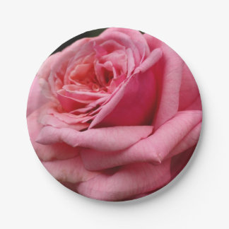 Pink Rose I Pretty Floral Photography Paper Plate