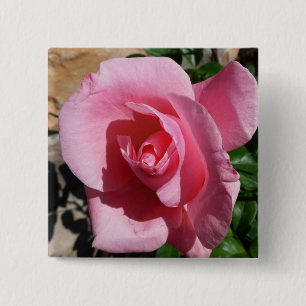 Pink Rose III Garden Floral 15 Cm Square Badge