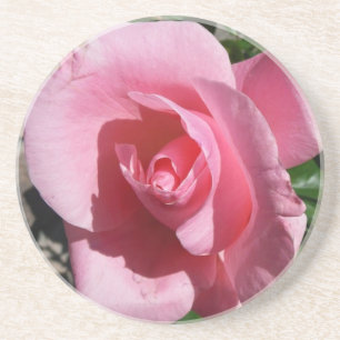 Pink Rose III Garden Floral Coaster